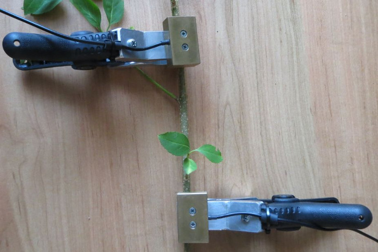 优发国际·随优而动一触即发