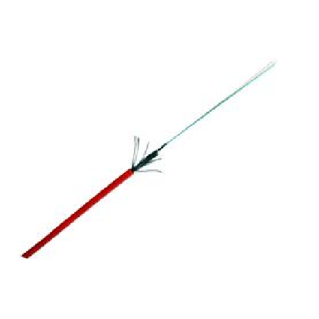 优发国际·随优而动一触即发