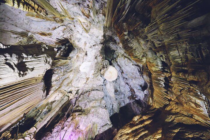 优发国际·随优而动一触即发