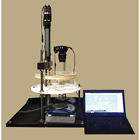 优发国际·随优而动一触即发