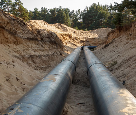 优发国际·随优而动一触即发