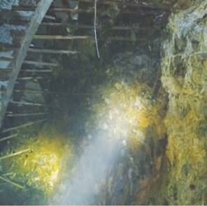 优发国际·随优而动一触即发