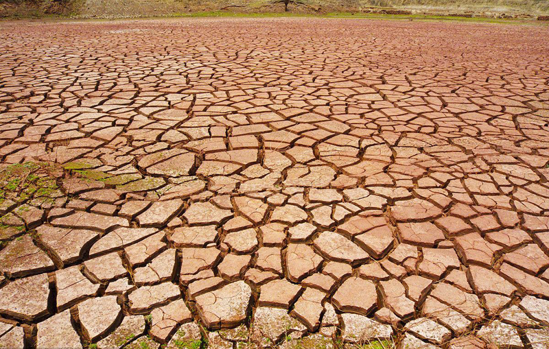 优发国际·随优而动一触即发