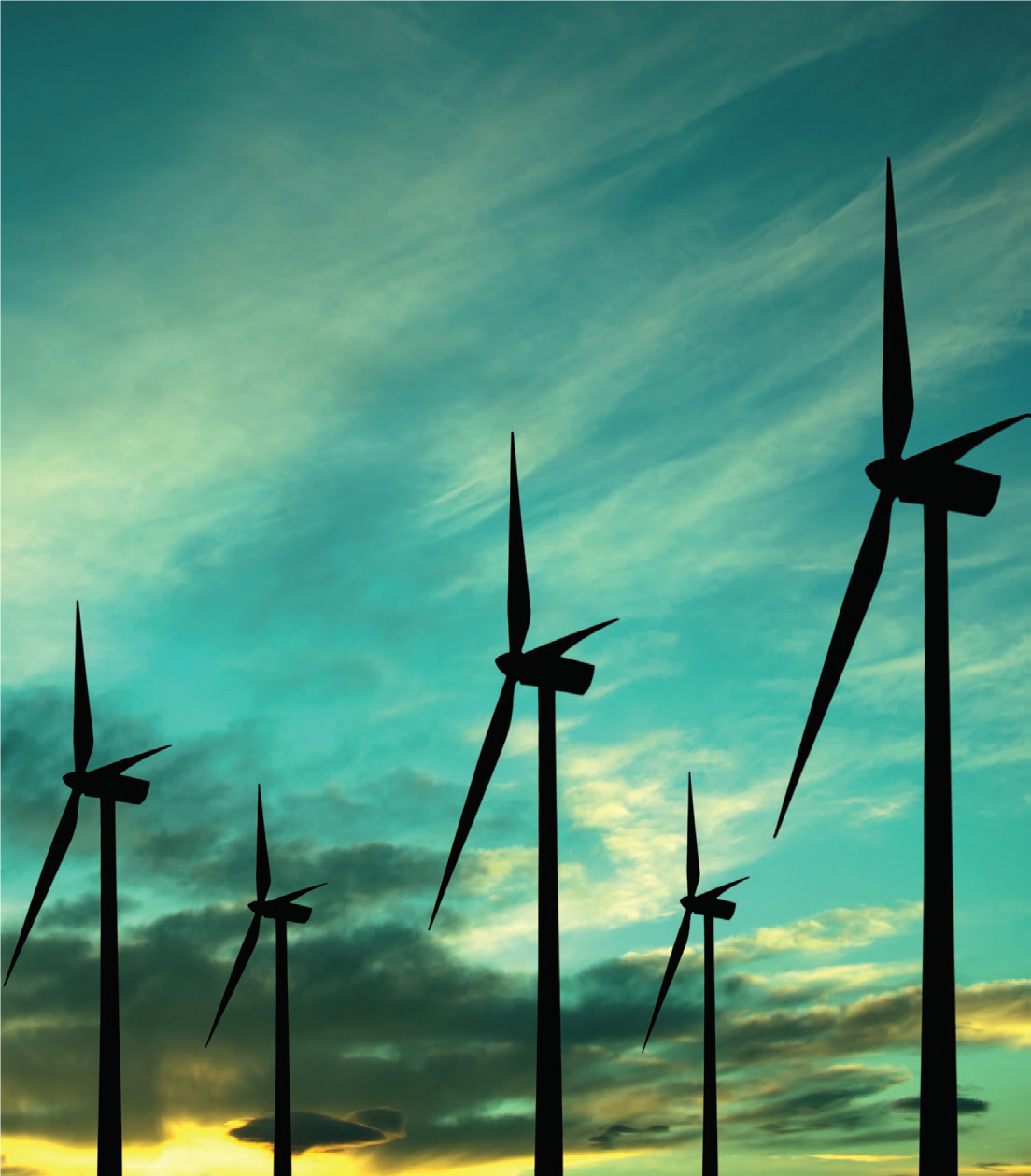 优发国际·随优而动一触即发