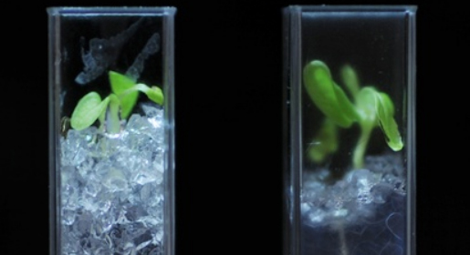 优发国际·随优而动一触即发