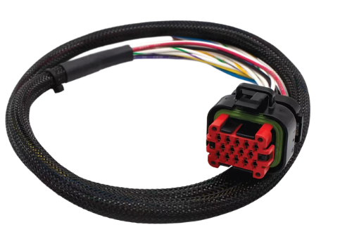 优发国际·随优而动一触即发