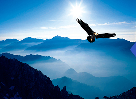 优发国际·随优而动一触即发