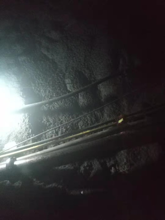 优发国际·随优而动一触即发