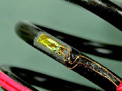 优发国际·随优而动一触即发