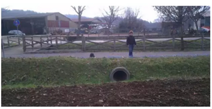 优发国际·随优而动一触即发